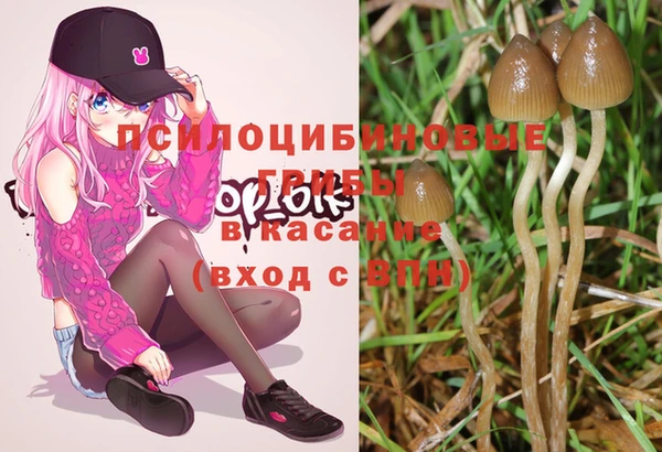 spice Козельск