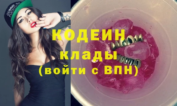 дмт Кодинск