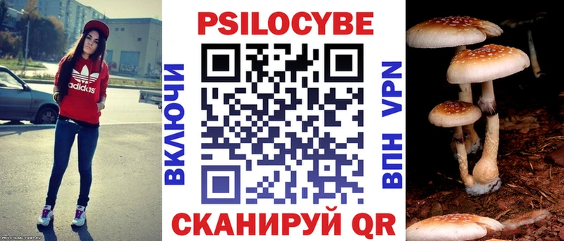 Галлюциногенные грибы мухоморы  Купить закладки  Шимановск 
